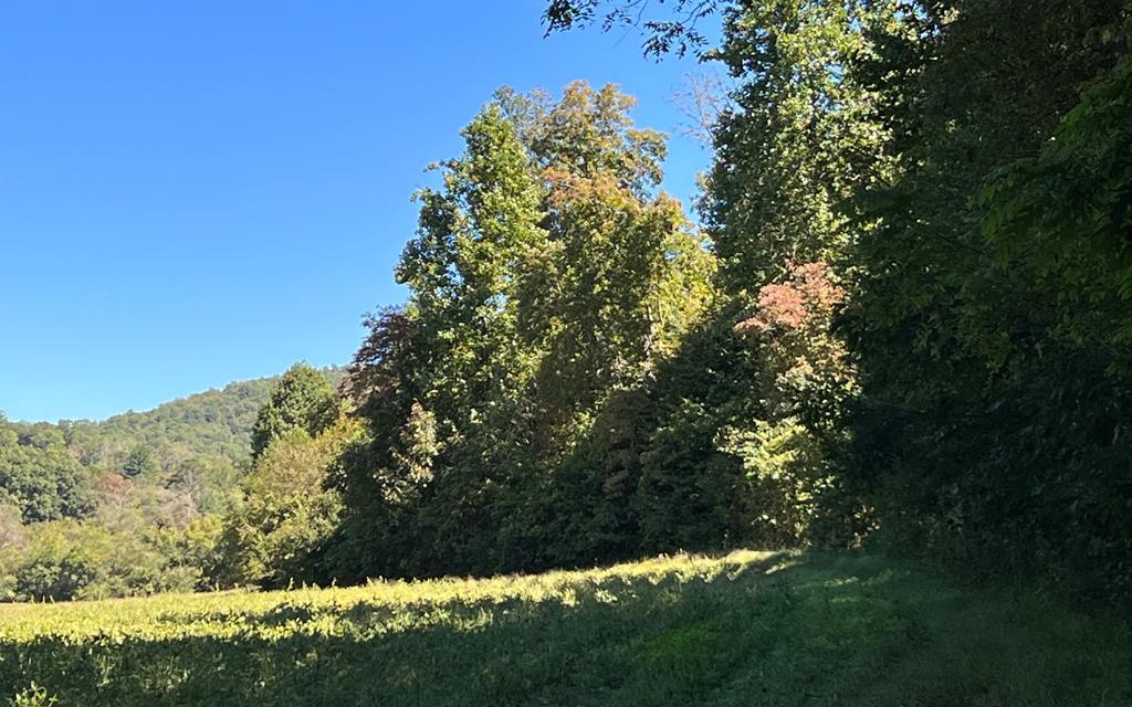 37+ Ac Jarrett Rd #35.85, HAYESVILLE, North Carolina image 46