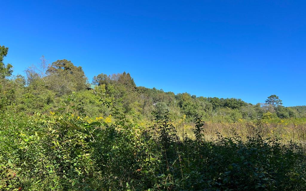 37+ Ac Jarrett Rd #35.85, HAYESVILLE, North Carolina image 20
