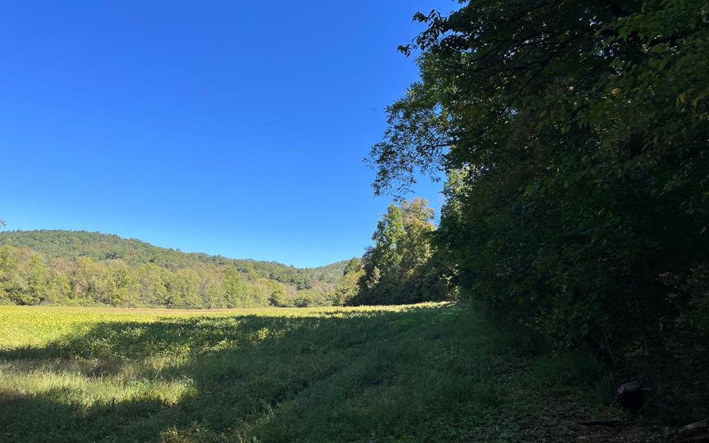37+ Ac Jarrett Rd #35.85, HAYESVILLE, North Carolina image 34