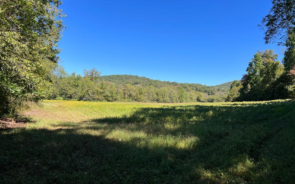 37+ Ac Jarrett Rd #35.85, HAYESVILLE, North Carolina image 43