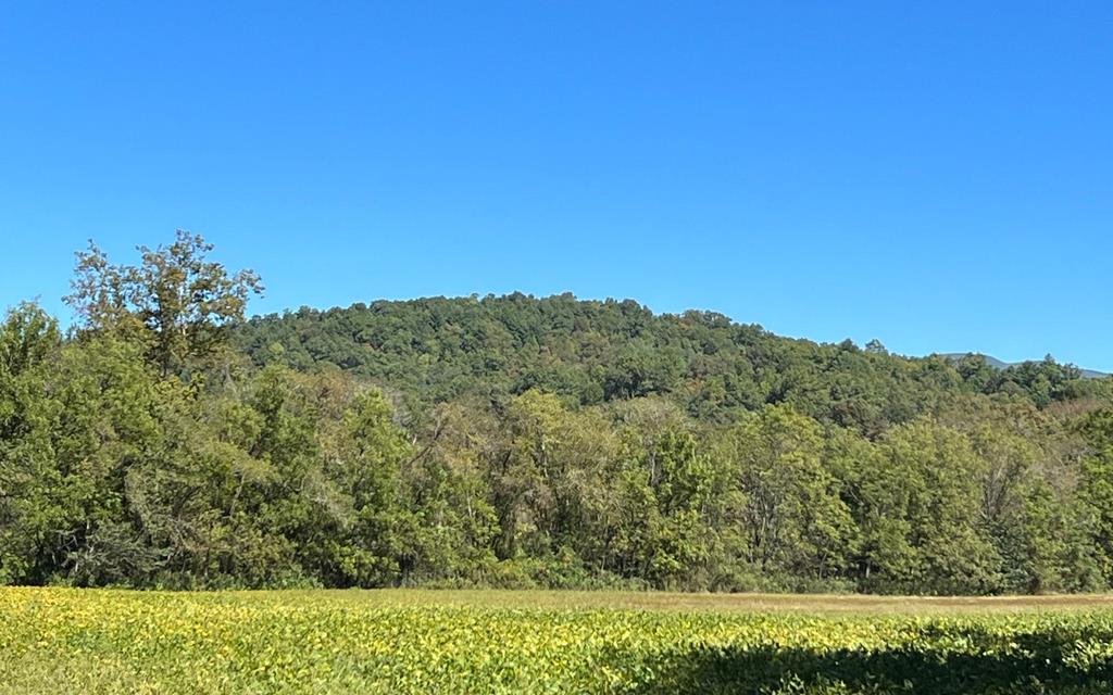 37+ Ac Jarrett Rd #35.85, HAYESVILLE, North Carolina image 44