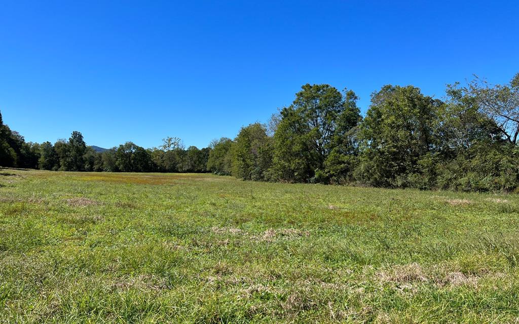 37+ Ac Jarrett Rd #35.85, HAYESVILLE, North Carolina image 49