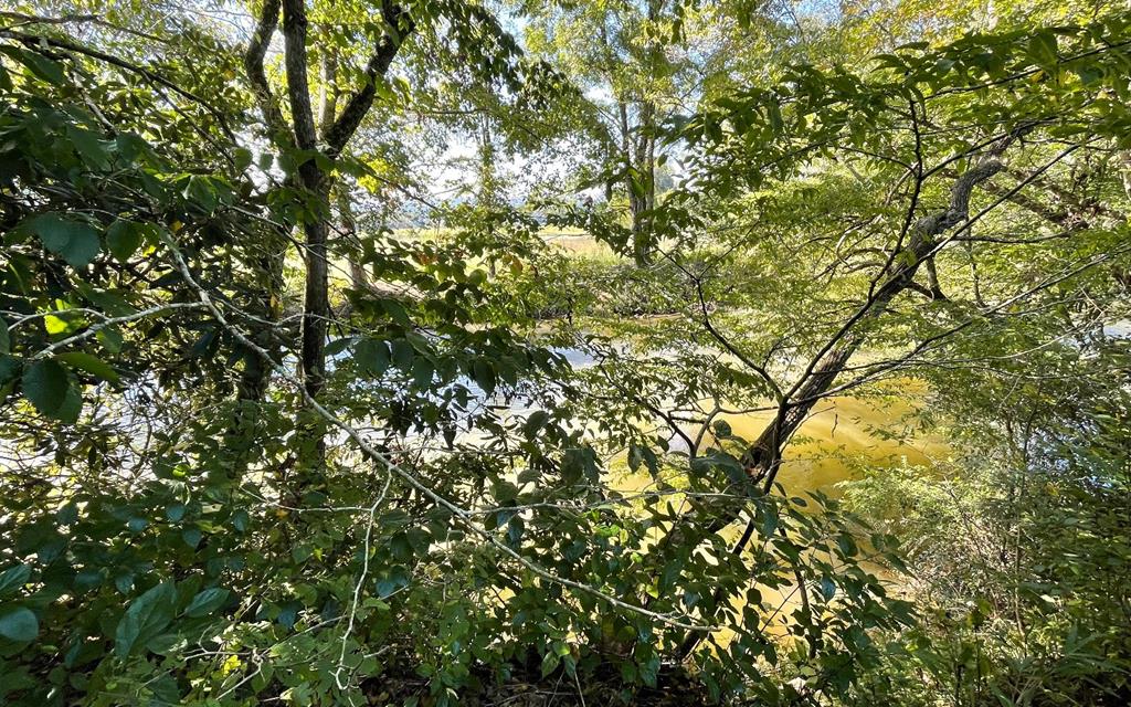 37+ Ac Jarrett Rd #35.85, HAYESVILLE, North Carolina image 9