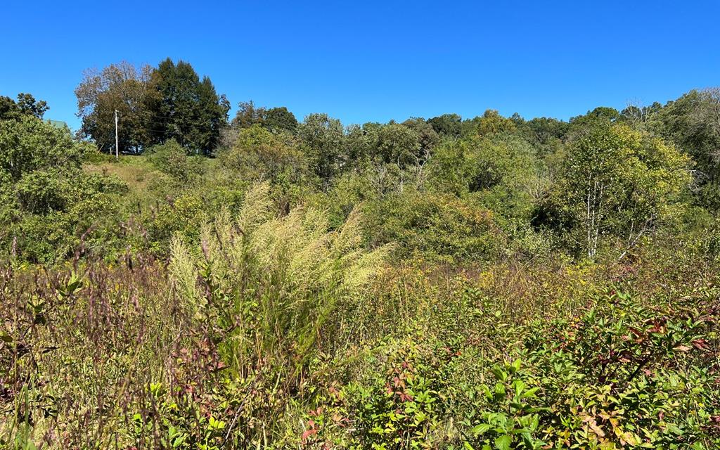 37+ Ac Jarrett Rd #35.85, HAYESVILLE, North Carolina image 28