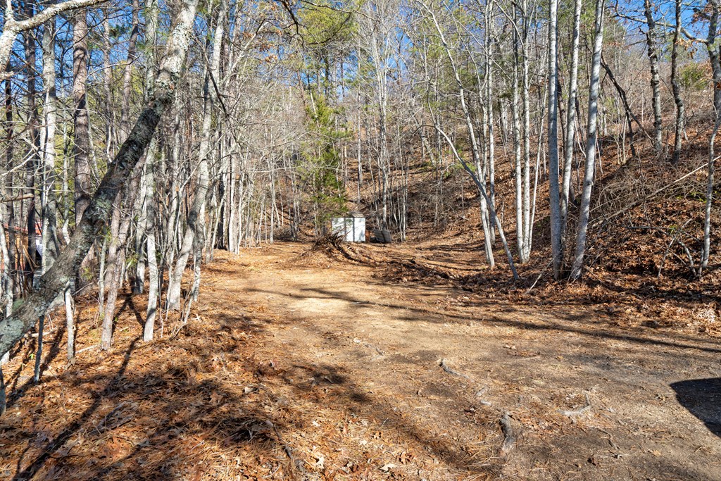 655 Oliver Drive, BRYSON CITY, North Carolina image 7