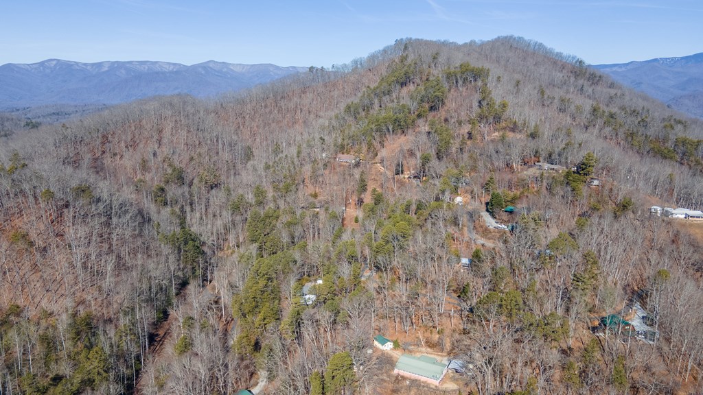 655 Oliver Drive, BRYSON CITY, North Carolina image 23