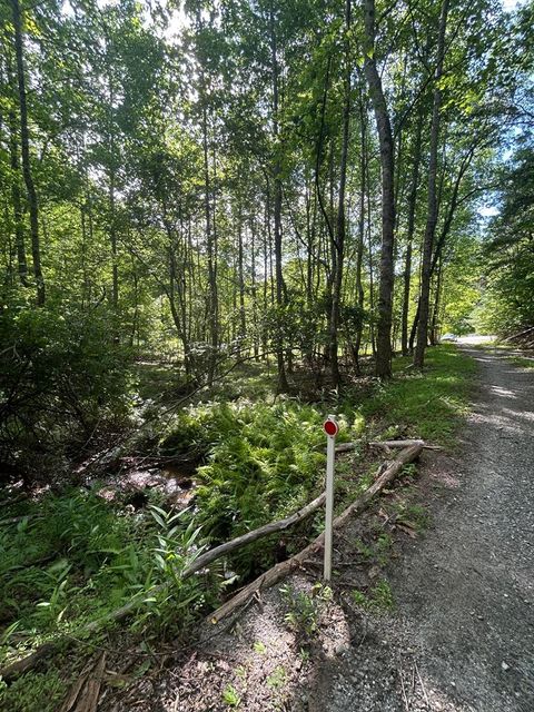 Vacant Land For Sale - Two Pond Lane<br/> Clay County, HAYESVILLE, NC 28904