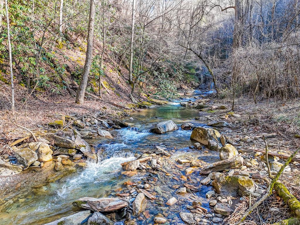 12730 Hwy 19 W, BRYSON CITY, North Carolina image 3