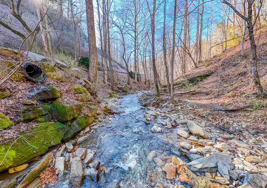12730 Hwy 19 W, BRYSON CITY, North Carolina image 11