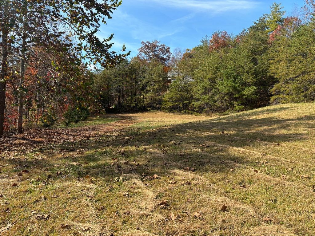 1.51-ac Hwy 76, YOUNG HARRIS, Georgia image 4