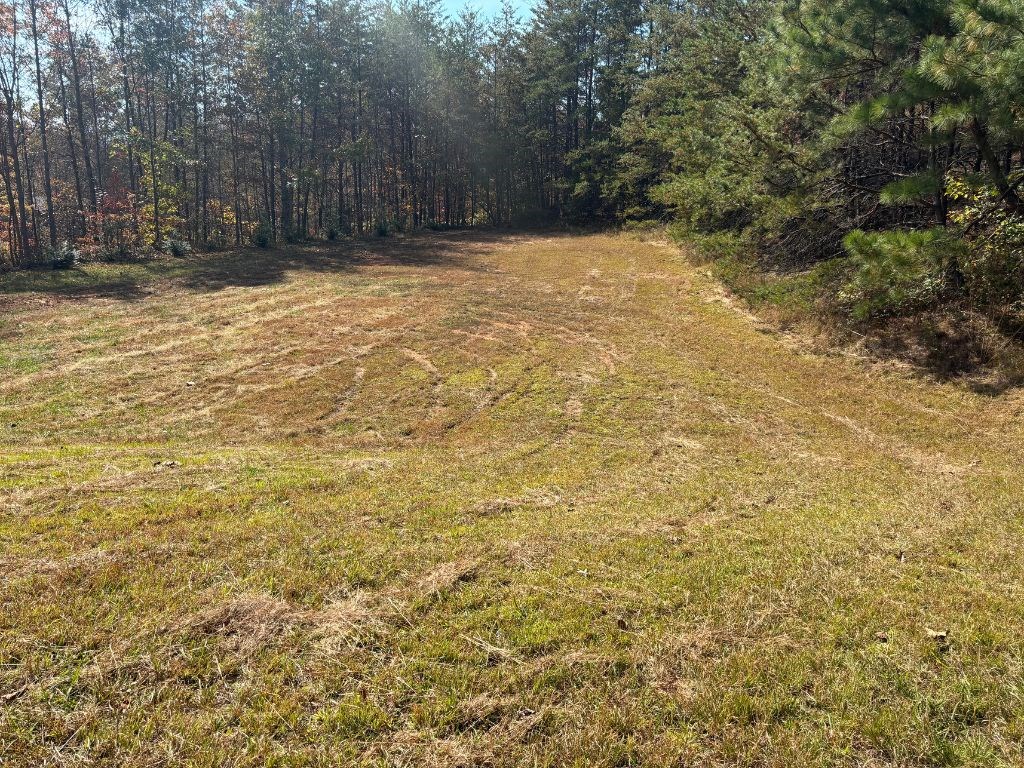 1.51-ac Hwy 76, YOUNG HARRIS, Georgia image 5