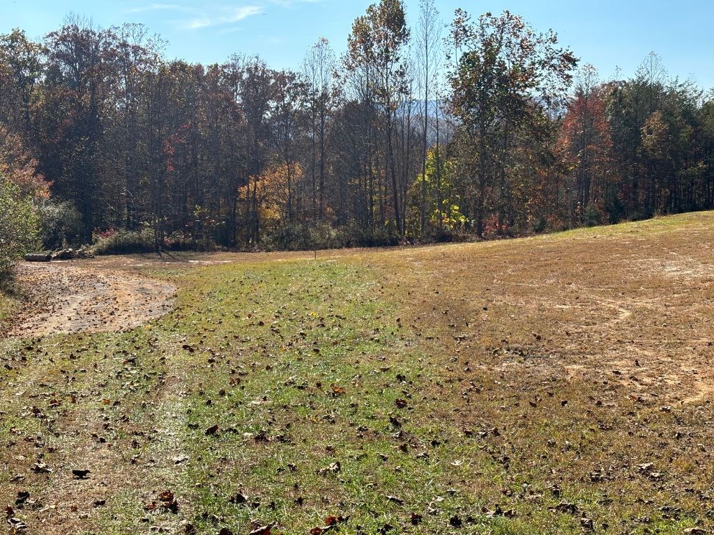 1.51-ac Hwy 76, YOUNG HARRIS, Georgia image 10