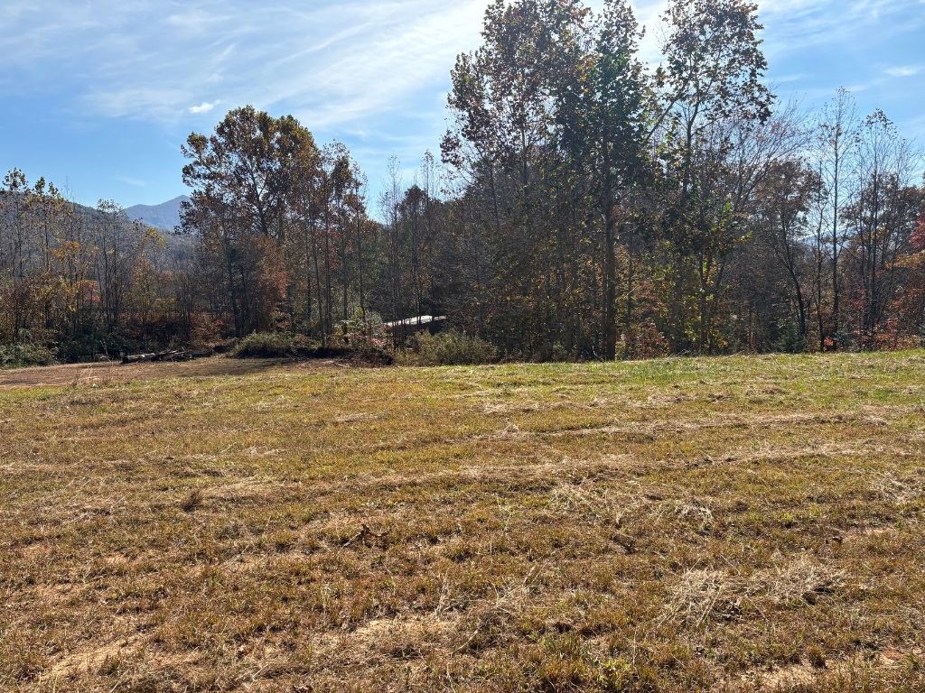 1.51-ac Hwy 76, YOUNG HARRIS, Georgia image 6