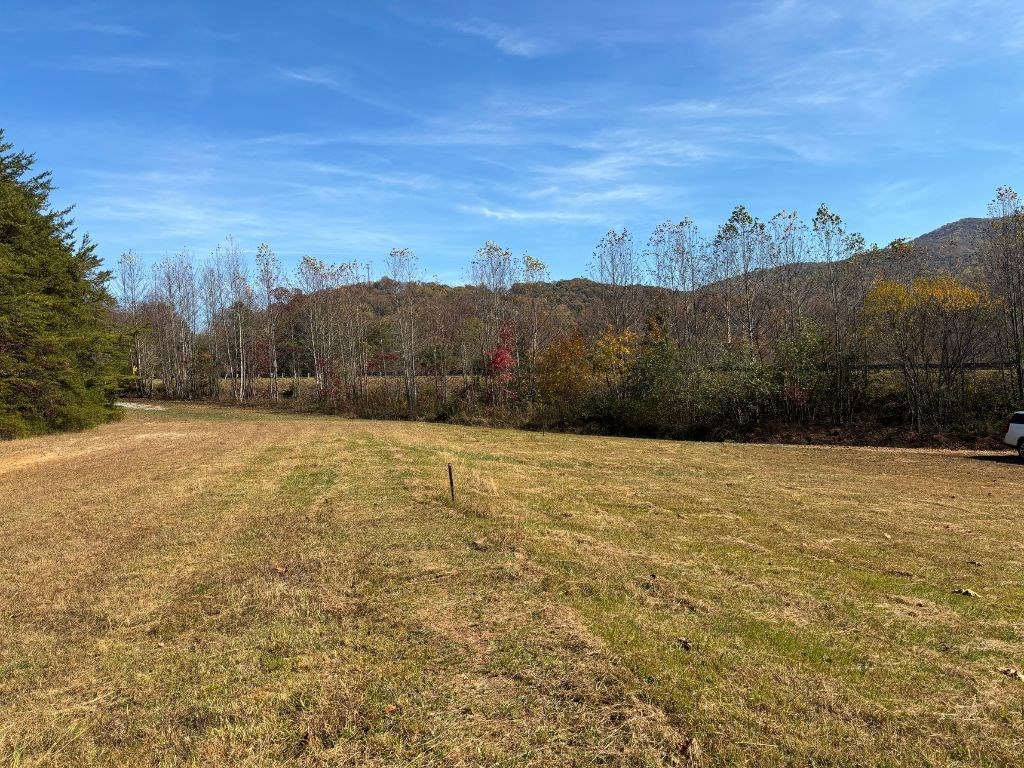 1.51-ac Hwy 76, YOUNG HARRIS, Georgia image 3