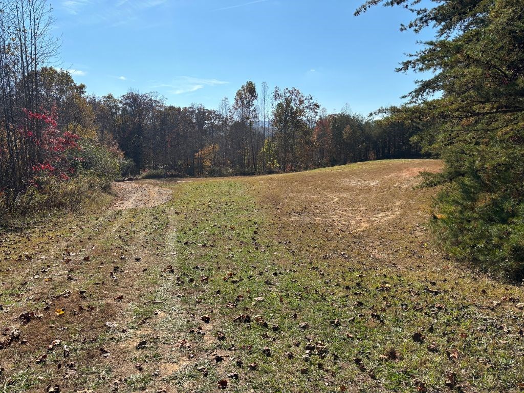 1.51-ac Hwy 76, YOUNG HARRIS, Georgia image 9