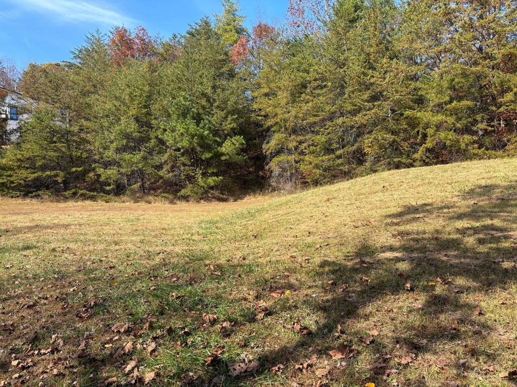 1.51-ac Hwy 76, YOUNG HARRIS, Georgia image 13