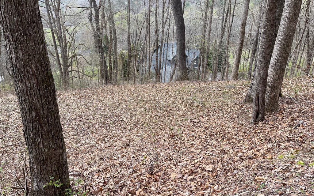 Lot 30 High Meadows #30, HAYESVILLE, North Carolina image 17