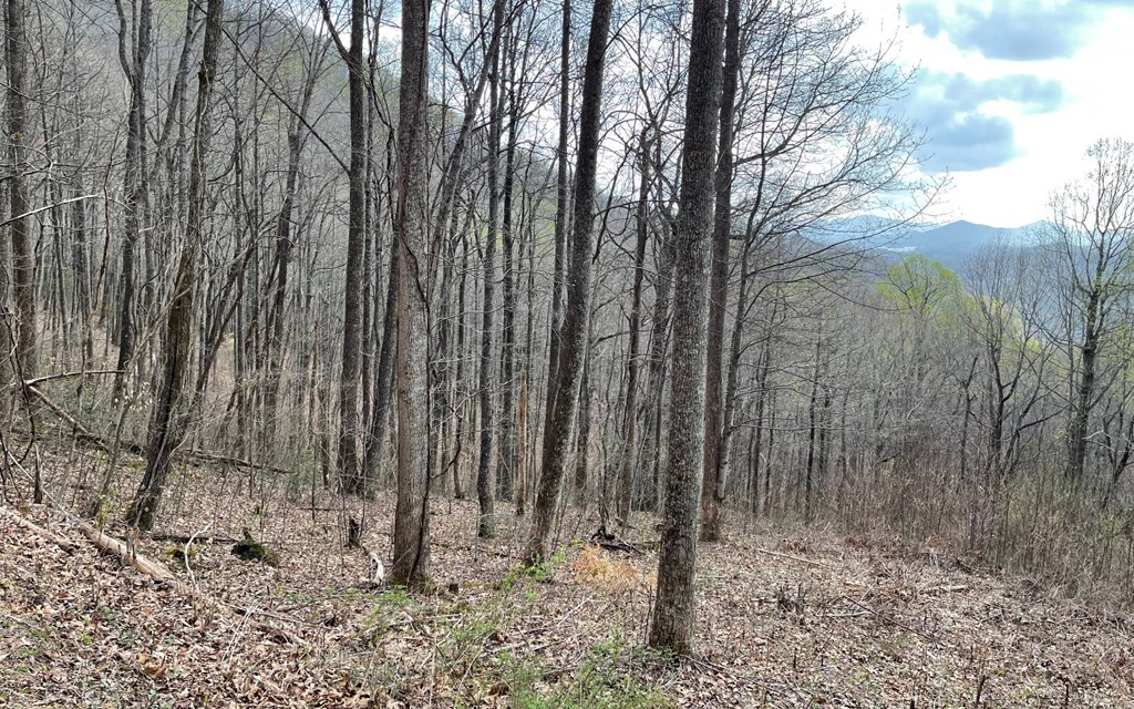 Lot 30 High Meadows #30, HAYESVILLE, North Carolina image 29