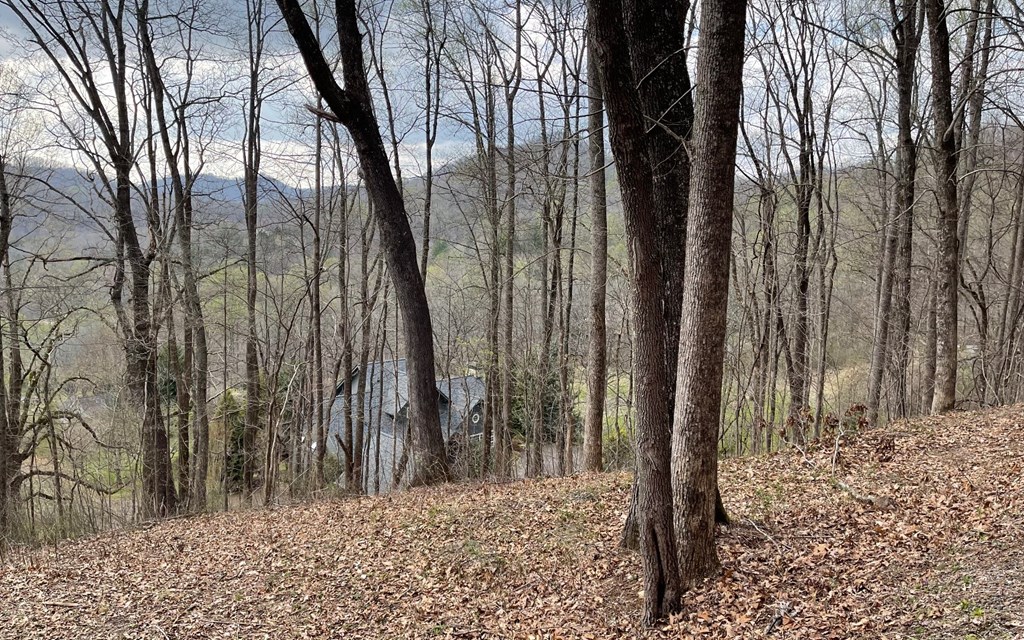 Lot 30 High Meadows #30, HAYESVILLE, North Carolina image 16