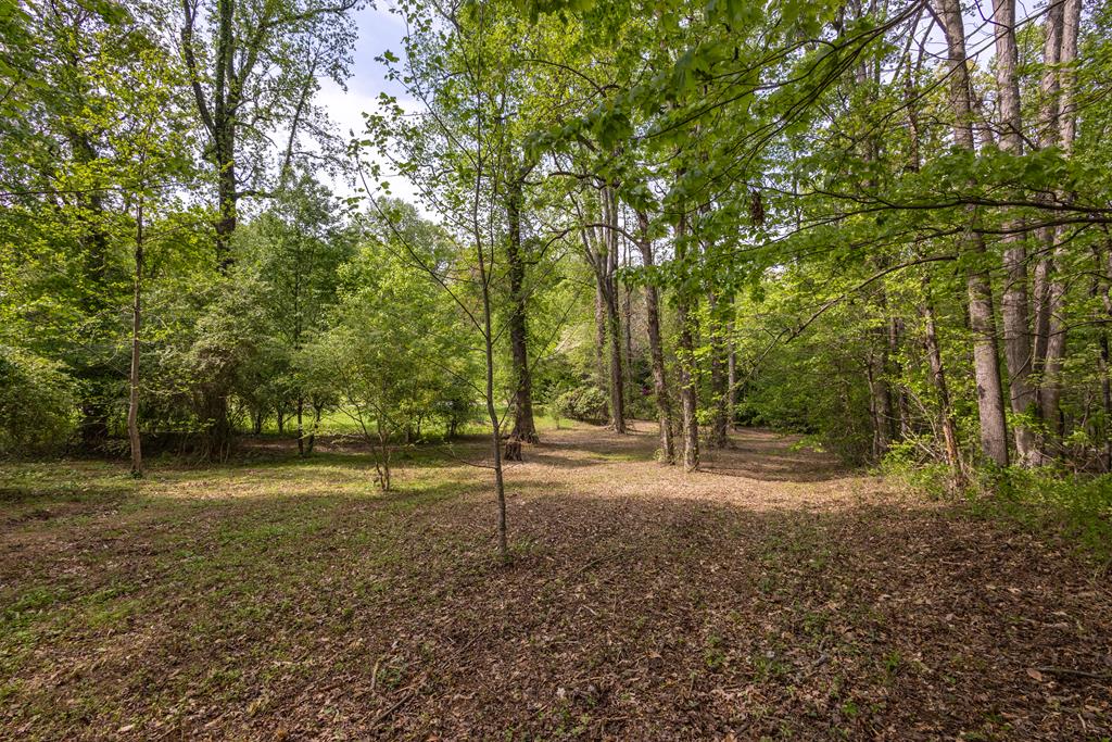 Lot 1 Cypress Pointe Lane #1, HAYESVILLE, North Carolina image 7