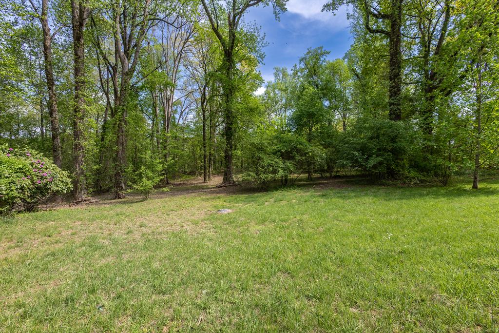 Lot 1 Cypress Pointe Lane #1, HAYESVILLE, North Carolina image 2