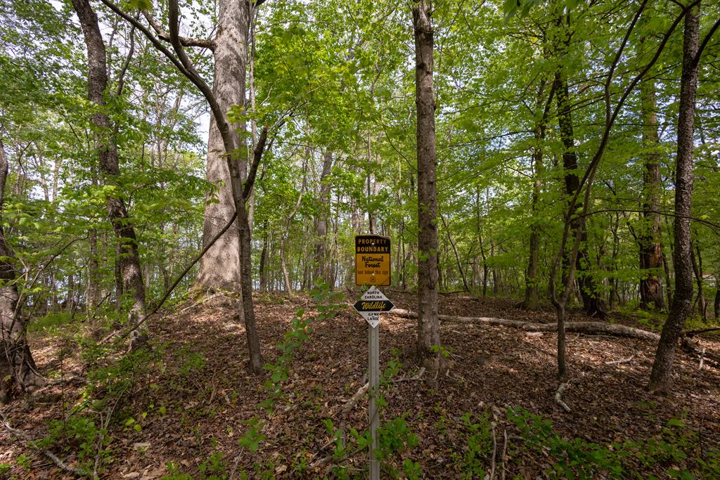 Lot 1 Cypress Pointe Lane #1, HAYESVILLE, North Carolina image 6