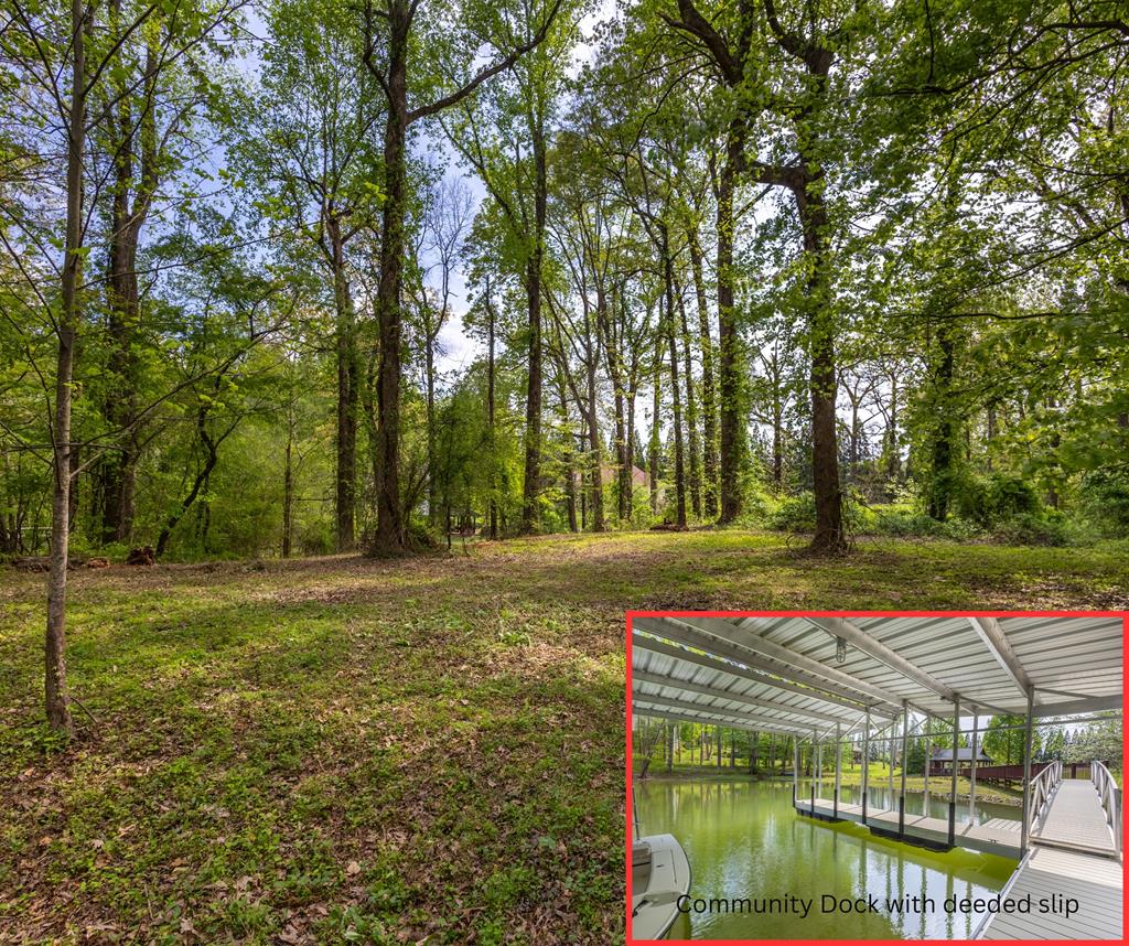 Lot 1 Cypress Pointe Lane #1, HAYESVILLE, North Carolina image 1