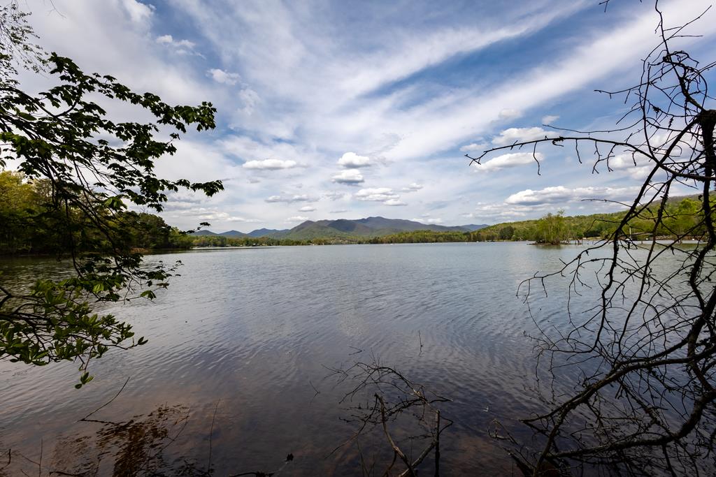 Lot 1 Cypress Pointe Lane #1, HAYESVILLE, North Carolina image 28
