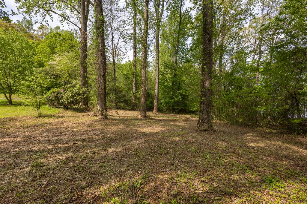 Lot 1 Cypress Pointe Lane #1, HAYESVILLE, North Carolina image 27