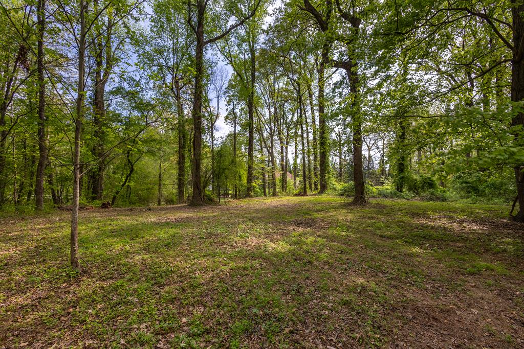 Lot 1 Cypress Pointe Lane #1, HAYESVILLE, North Carolina image 5