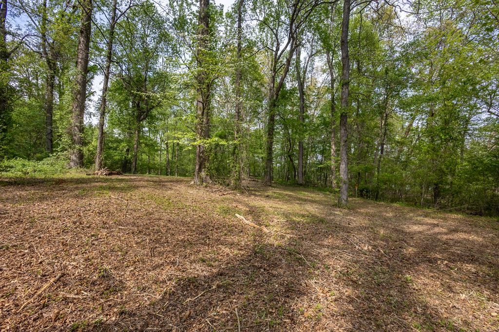 Lot 1 Cypress Pointe Lane #1, HAYESVILLE, North Carolina image 10