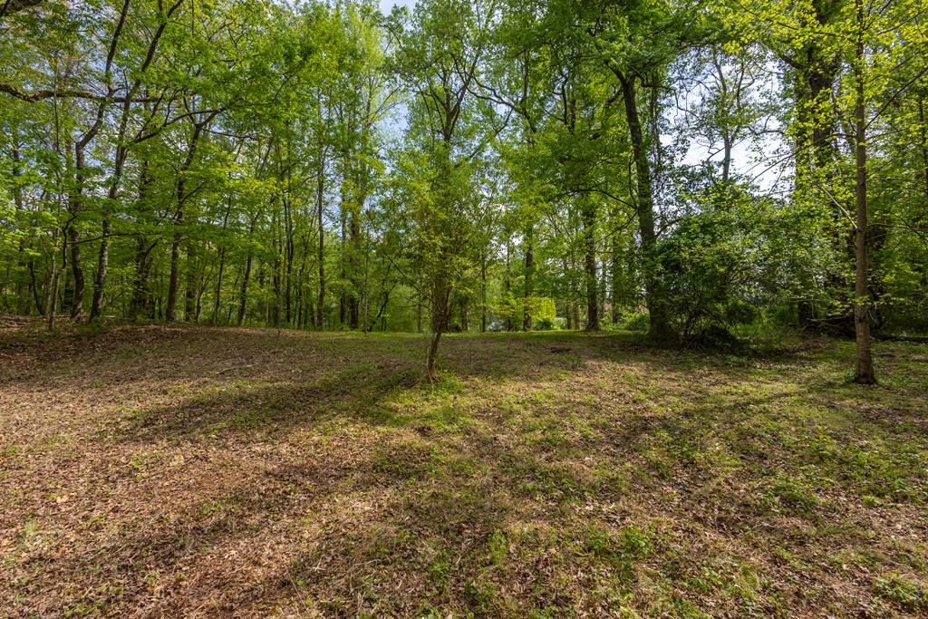 Lot 1 Cypress Pointe Lane #1, HAYESVILLE, North Carolina image 4