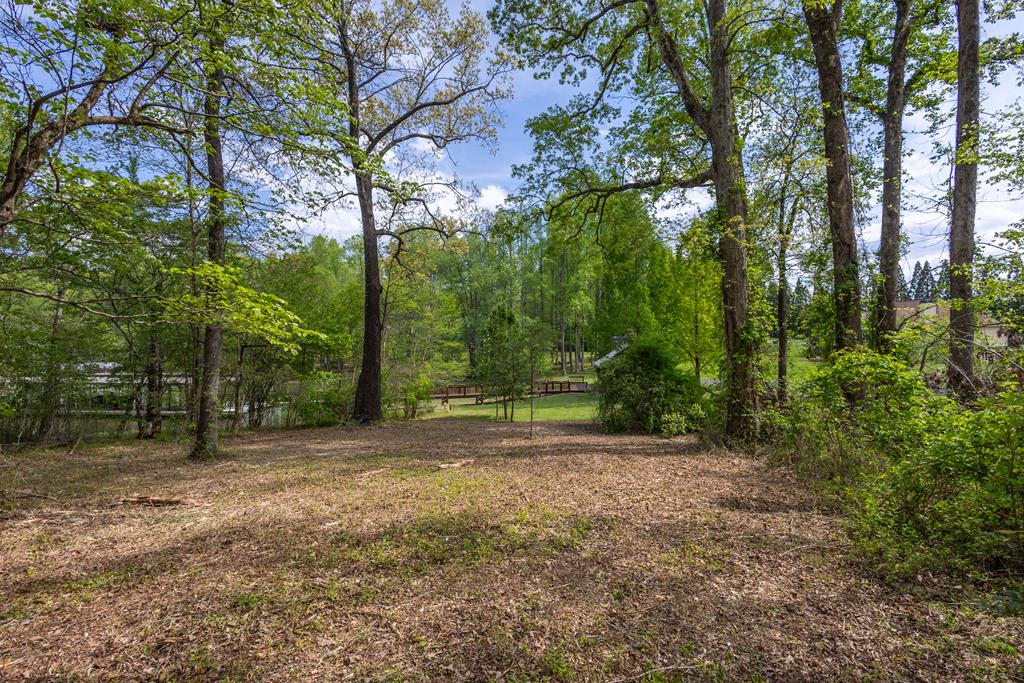 Lot 1 Cypress Pointe Lane #1, HAYESVILLE, North Carolina image 9