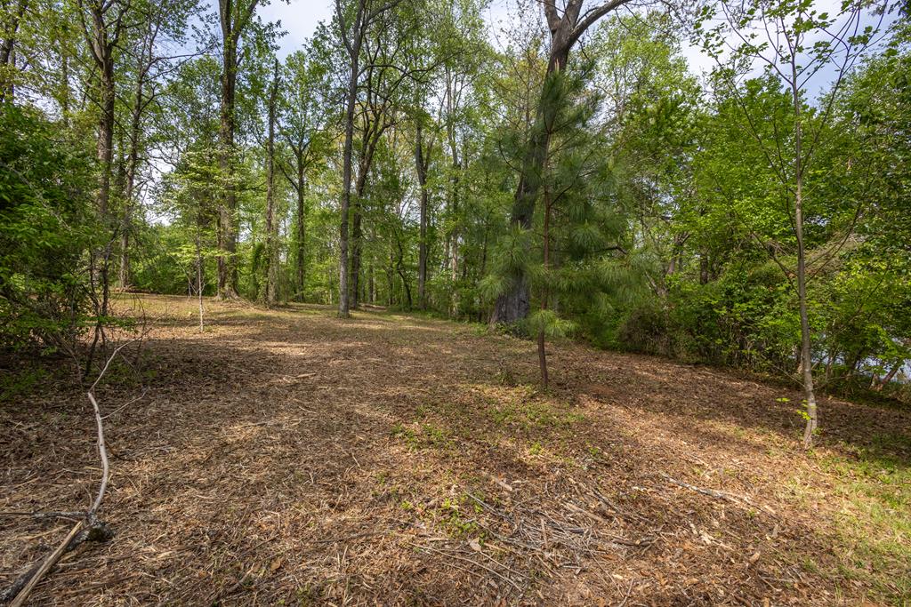 Lot 1 Cypress Pointe Lane #1, HAYESVILLE, North Carolina image 12