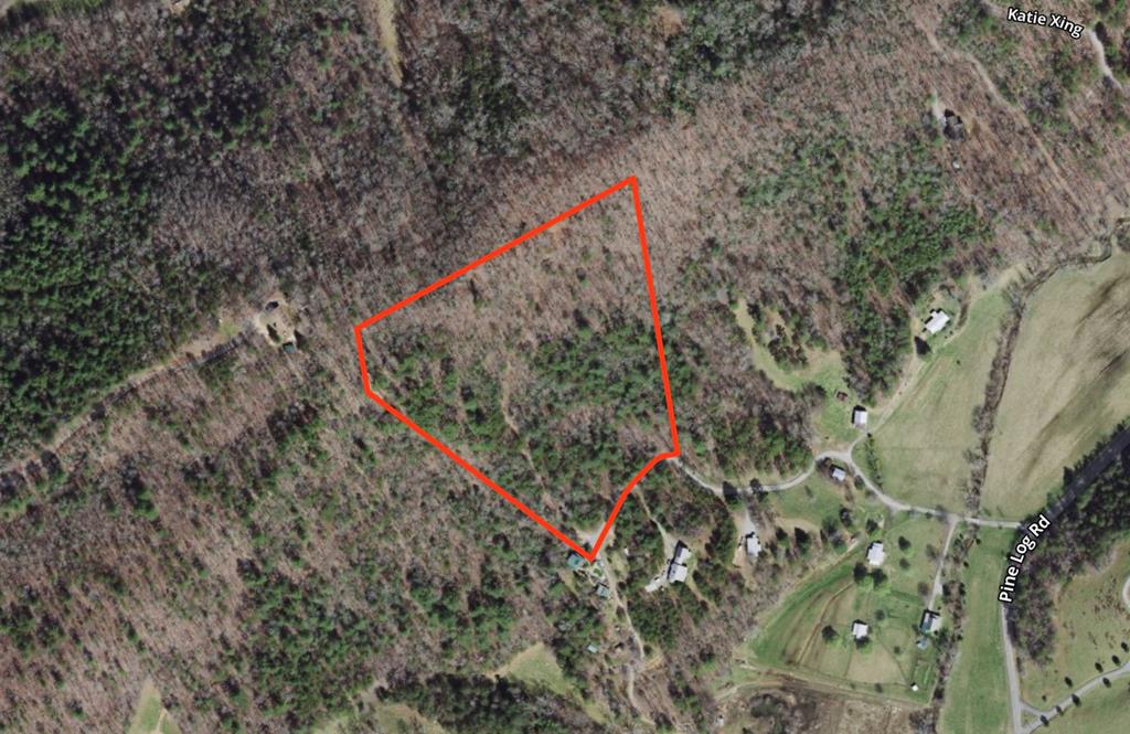 0000 Pine Log Road, WARNE, North Carolina image 30