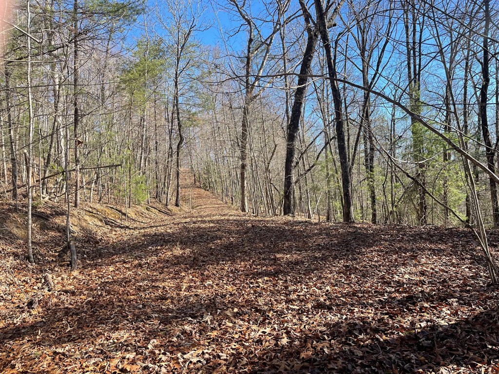 0000 Pine Log Road, WARNE, North Carolina image 18