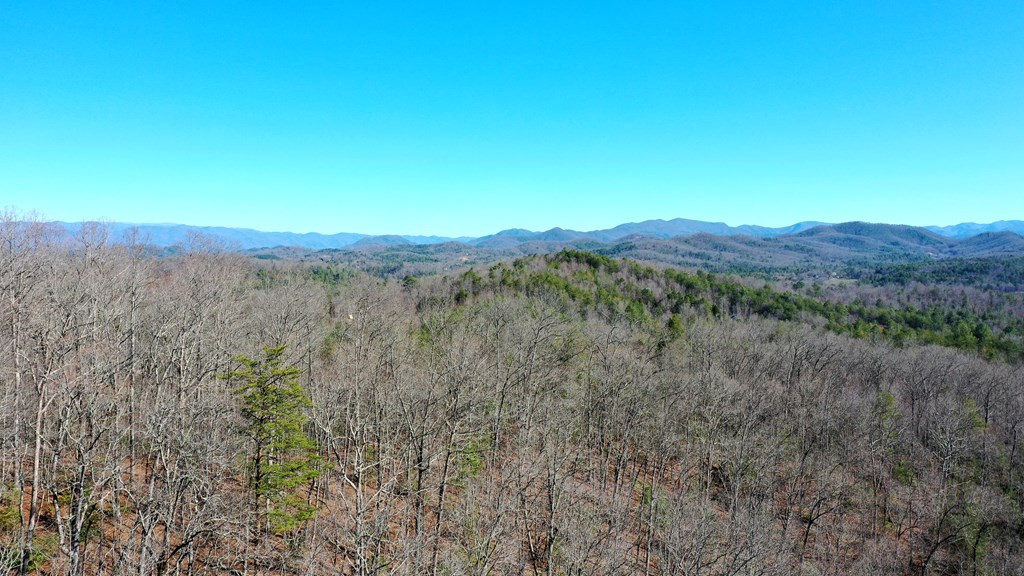 0000 Pine Log Road, WARNE, North Carolina image 26