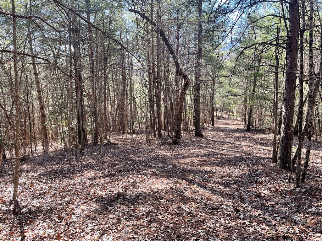 0000 Pine Log Road, WARNE, North Carolina image 15