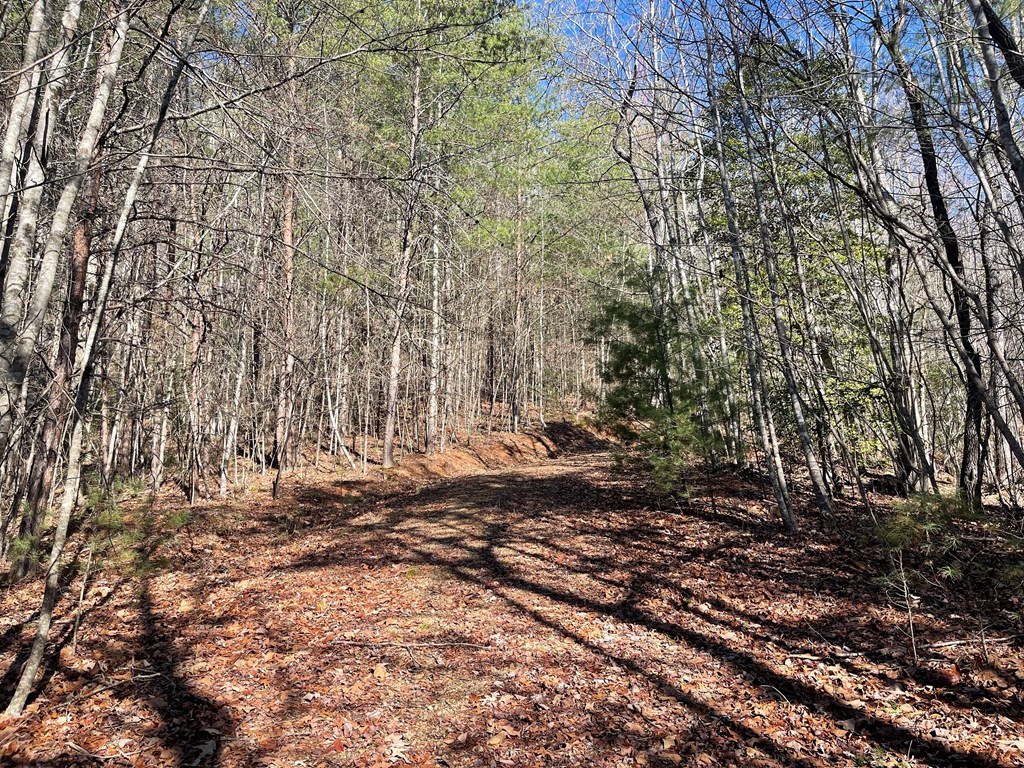 0000 Pine Log Road, WARNE, North Carolina image 14