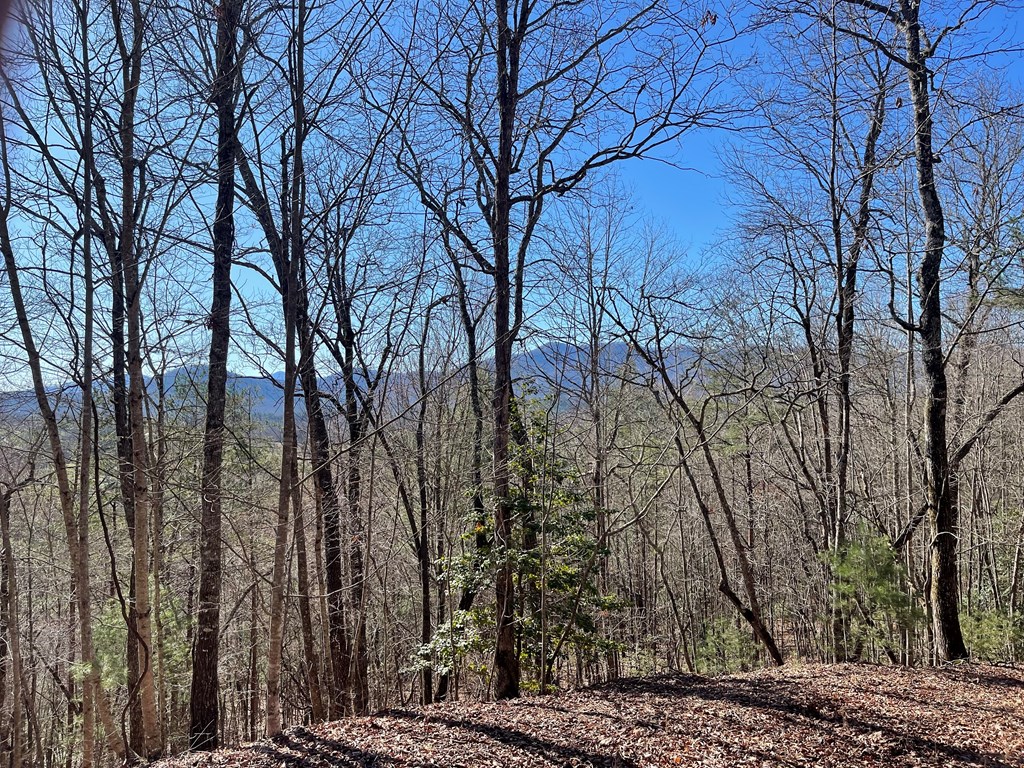 0000 Pine Log Road, WARNE, North Carolina image 3