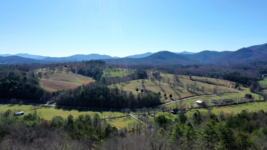 0000 Pine Log Road, WARNE, North Carolina image 25
