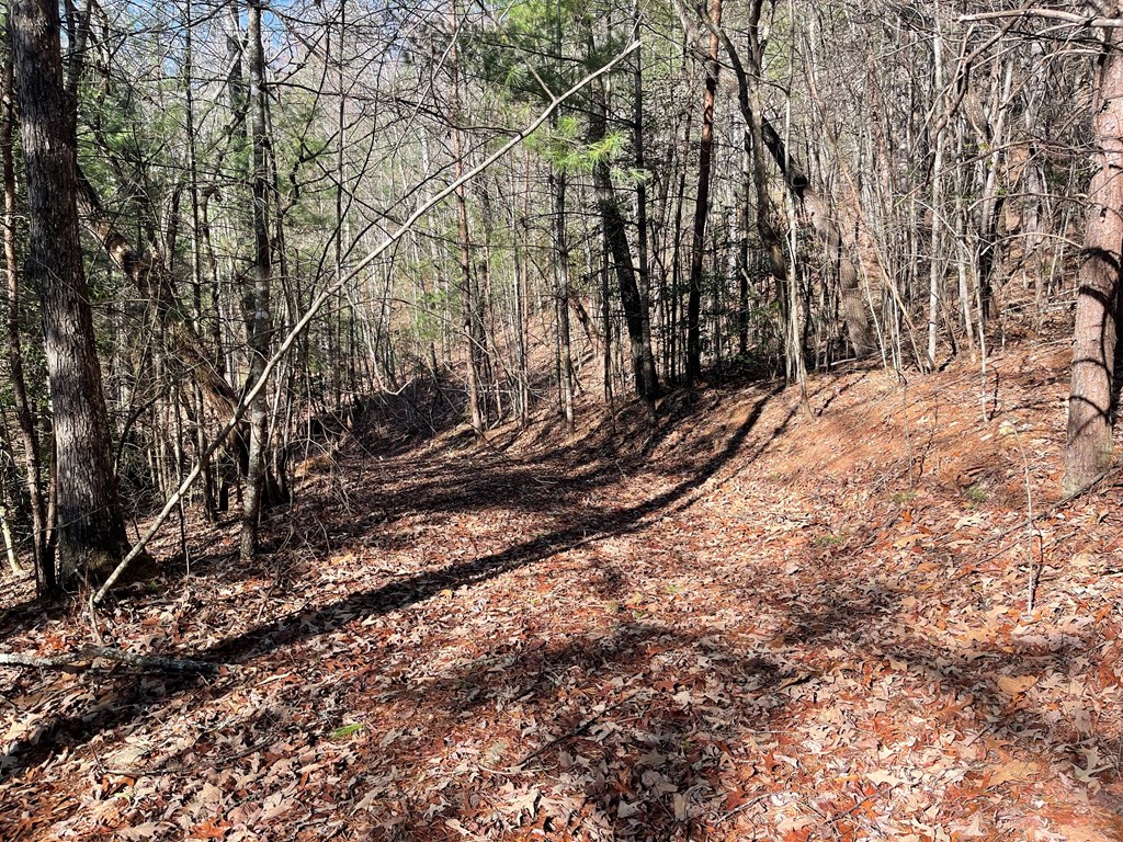 0000 Pine Log Road, WARNE, North Carolina image 13