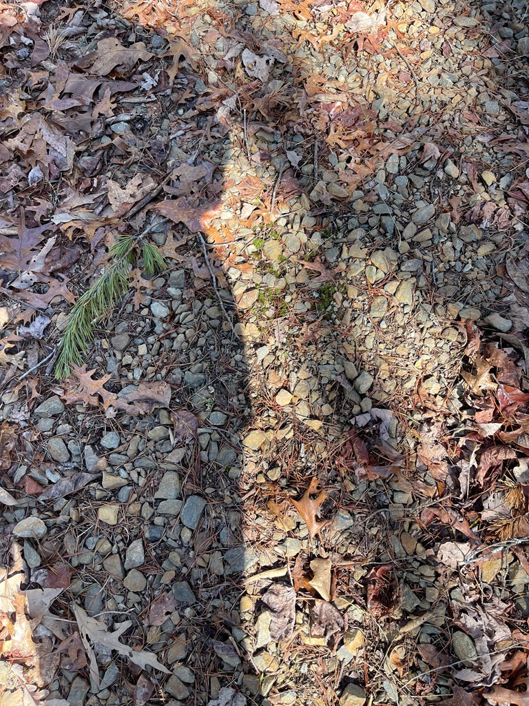 0000 Pine Log Road, WARNE, North Carolina image 16