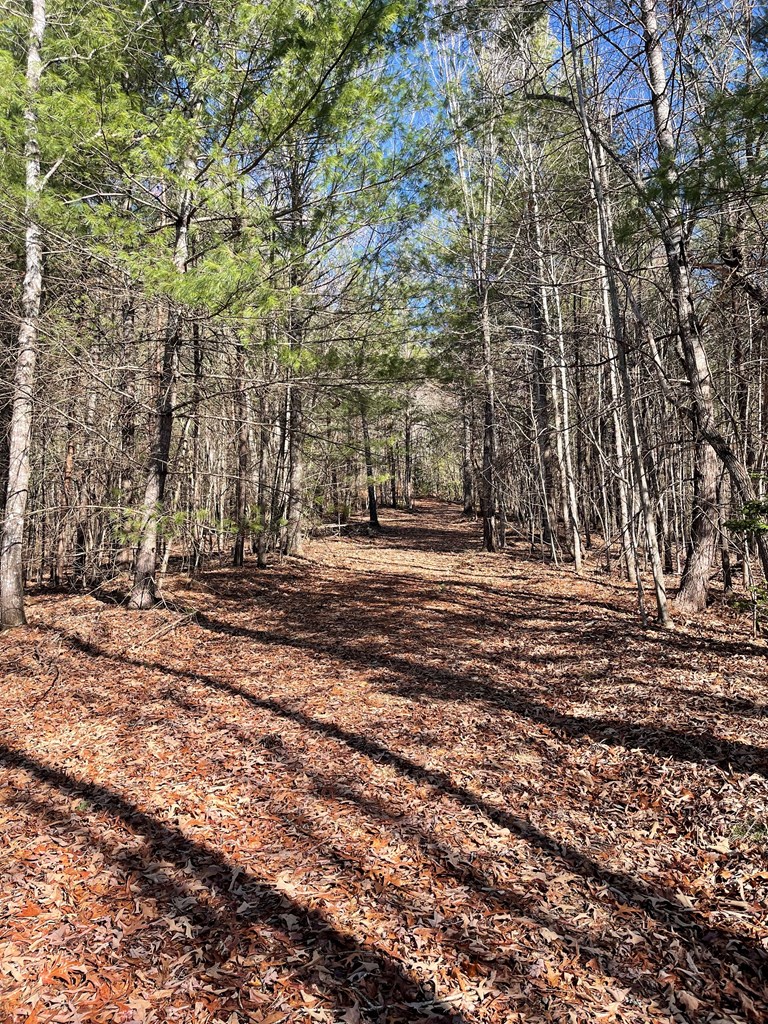 0000 Pine Log Road, WARNE, North Carolina image 11