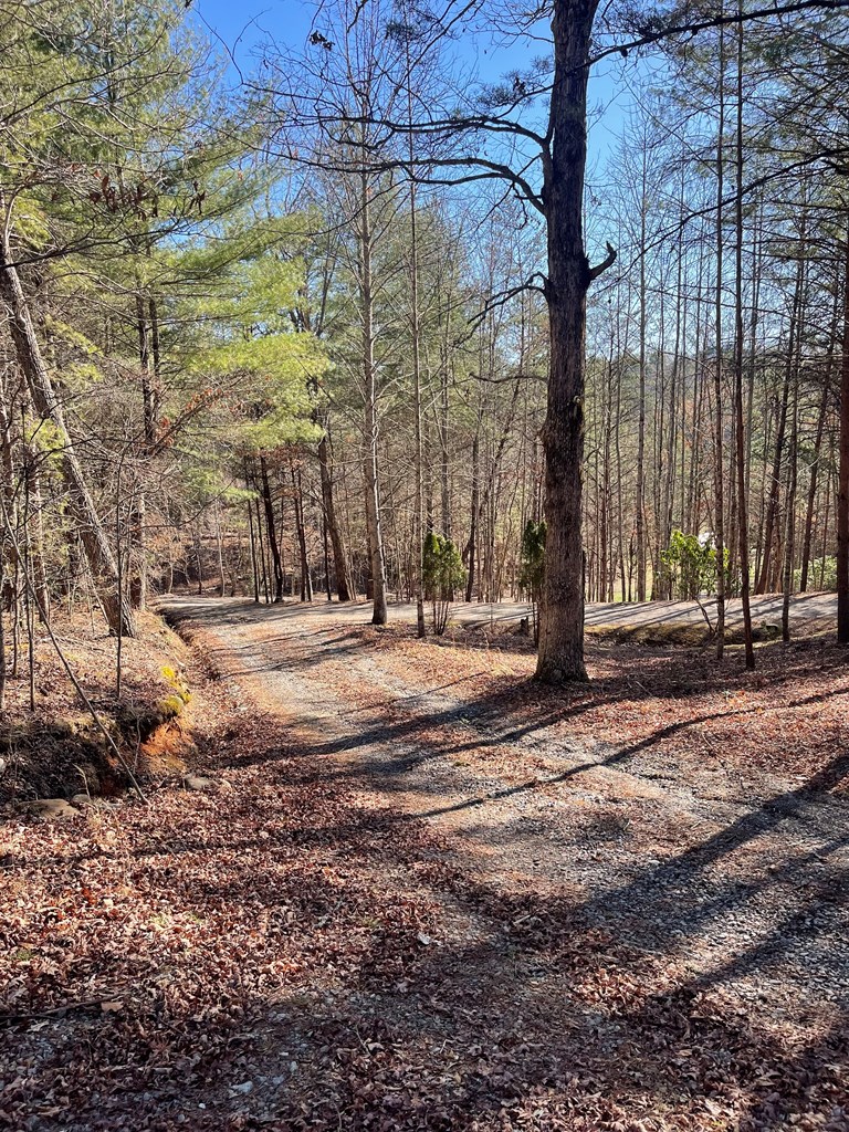 0000 Pine Log Road, WARNE, North Carolina image 9