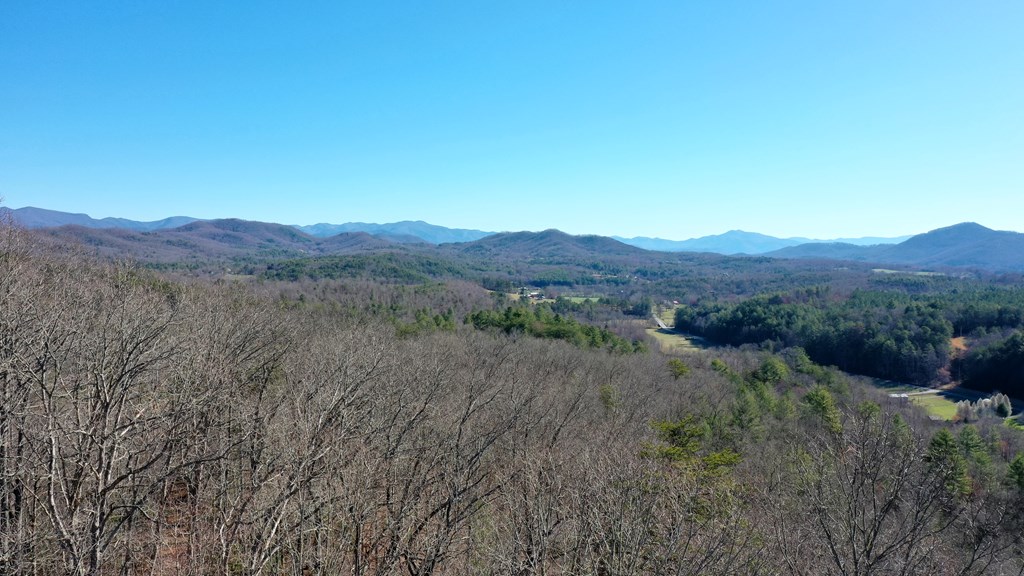 0000 Pine Log Road, WARNE, North Carolina image 4