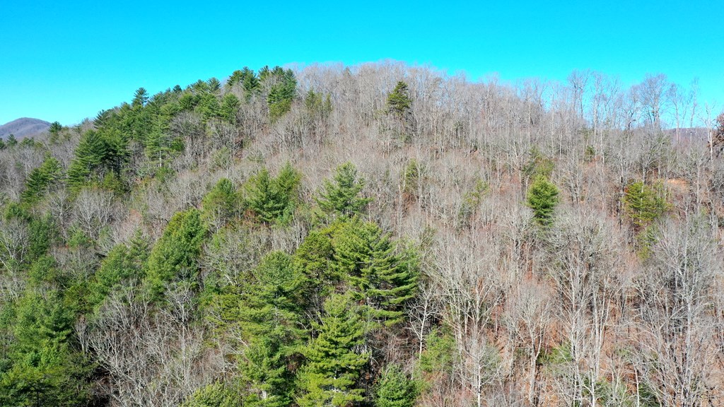 0000 Pine Log Road, WARNE, North Carolina image 27