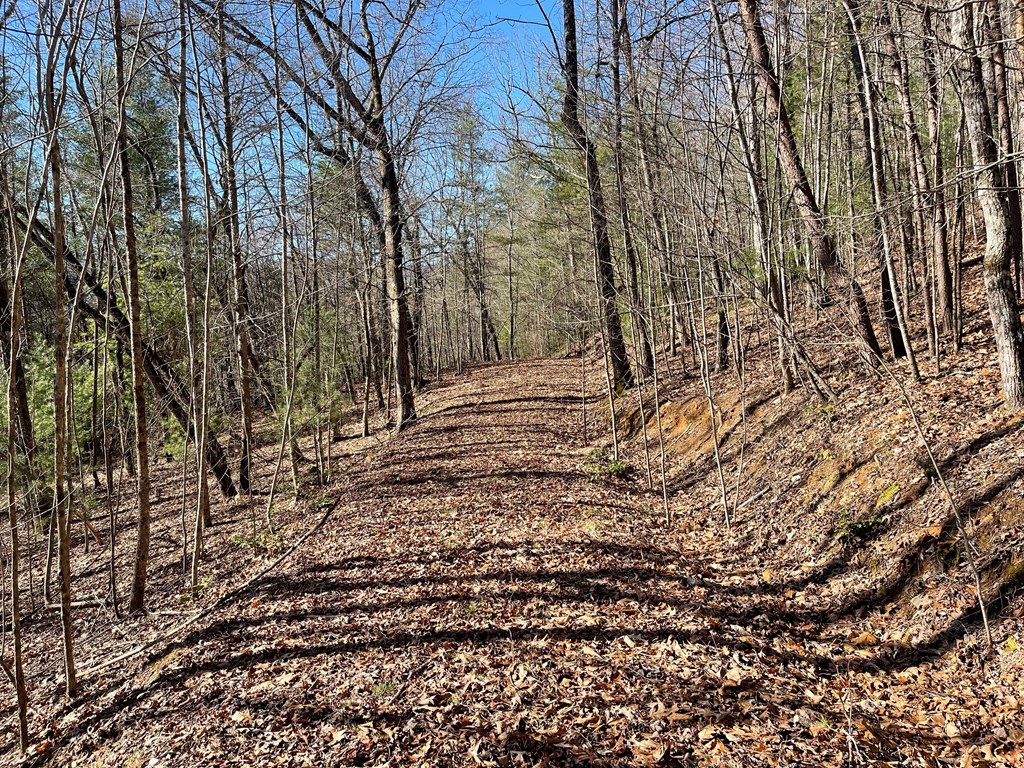 0000 Pine Log Road, WARNE, North Carolina image 6