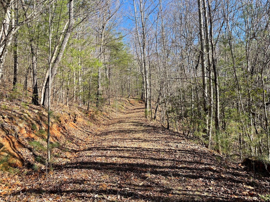 0000 Pine Log Road, WARNE, North Carolina image 17