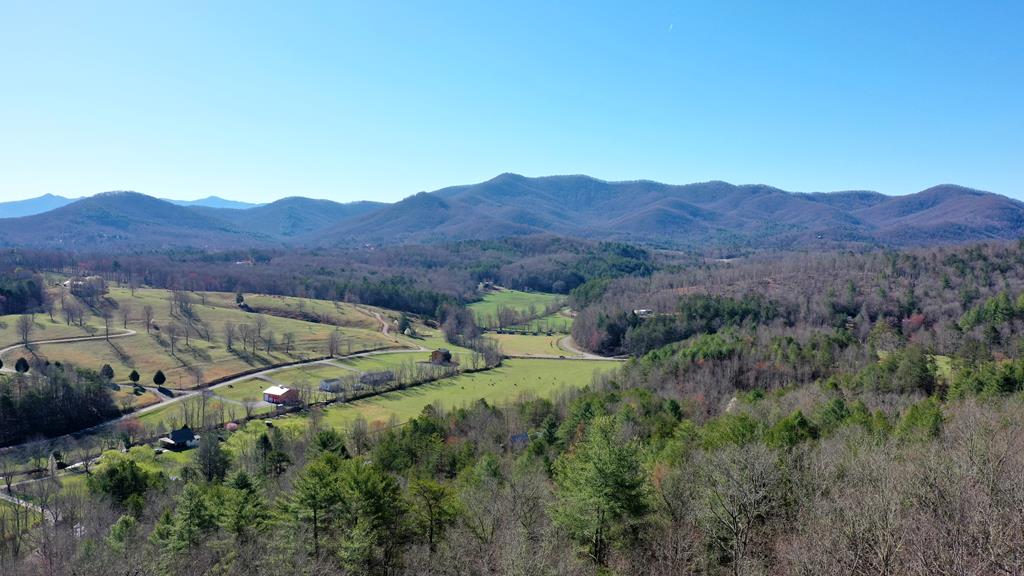 0000 Pine Log Road, WARNE, North Carolina image 1
